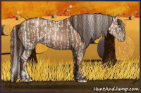 Horse Color:Gray Liver Chestnut Pearl  and Gray Liver Chestnut Pearl 