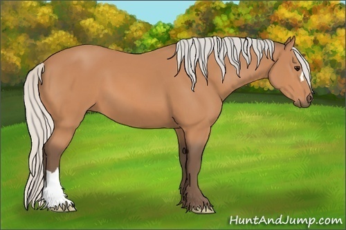 Horse Color:Silver Bay