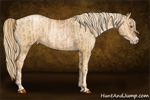 Horse Color:Liver Chestnut Pearl  and Gold Champagne Pearl 