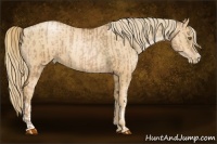 Horse Color:Liver Chestnut Pearl  and Gold Champagne Pearl 