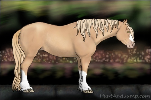 Horse Color:Gold Champagne Rabicano