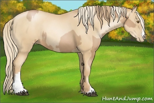 Horse Color:Liver Chestnut Pearl  and Gold Champagne Pearl 