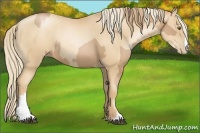 Horse Color:Liver Chestnut Pearl  and Gold Champagne Pearl 