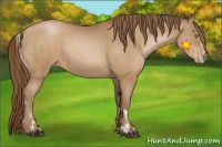 Horse Color:Bay Pearl Tobiano and Bay Pearl Frame