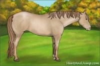 Horse Color:Liver Chestnut Pearl  and Liver Chestnut Pearl 