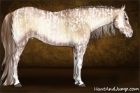 Horse Color:Liver Red Onyx Roan Pearl Tobiano Appaloosa and Liver Red Onyx Pearl