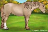 Horse Color:Liver Chestnut Pearl  and Liver Chestnut Pearl 