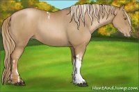 Horse Color:Liver Chestnut Pearl Tobiano and Liver Chestnut Pearl