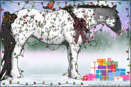 Horse Color:Blue Roan Splash Tobiano Near Leopard 