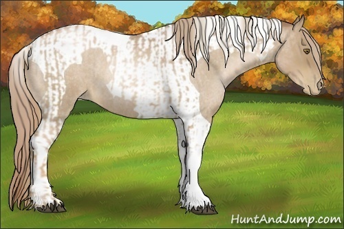 Horse Color:Liver Red Roan Pearl Tobiano and Liver Red Roan Pearl Tobiano