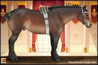 Horse Color:Bay Roan