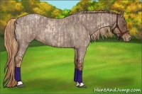 Horse Color:Liver Red Roan Pearl and Liver Red Roan