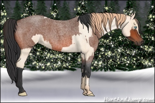 Horse Color:Buckskin Roan Pearl  and Bay Roan 