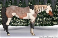 Horse Color:Buckskin Roan Pearl and Bay Roan