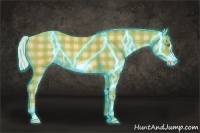 Horse Color:Thunderstruck Plaid  Silver Amber Champagne Sabino Frame 