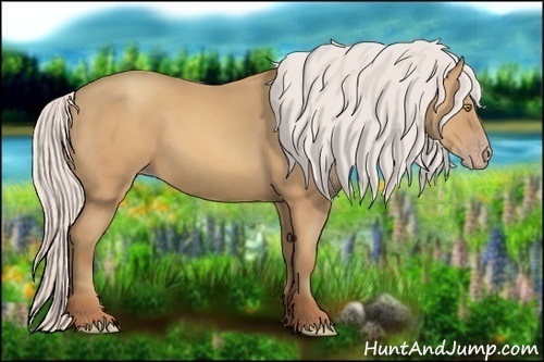 Horse Color:Silver Amber Champagne Sabino