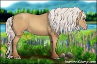 Horse Color:Silver Amber Champagne Sabino