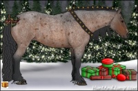 Horse Color:Bay Roan Sabino 