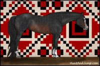 Horse Color:Brown Sabino Rabicano  and Gray Brown Sabino Rabicano 