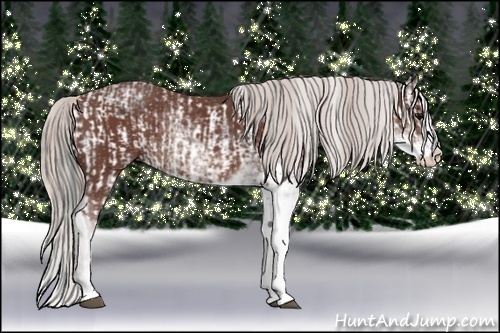 Horse Color:Brown Sabino Rabicano and Chocolate Silver Brown Sabino Rabicano