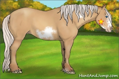 Horse Color:Silver Amber Champagne Sabino Frame 
