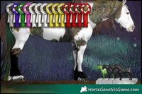 Horse Color:ERROR: UNKNOWN ANOMALY and White Spotted Chocolate Grullo Chinchilla Sabino Splash 