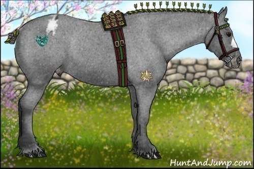 Horse Color:Black Appaloosa Rabicano 
