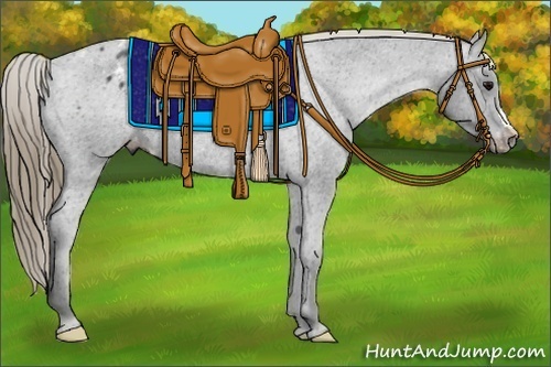 Horse Color:Smoky Black Varnish Rabicano