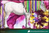 Horse Color:Painted Liver Chestnut Ice Pearl Tobiano  and Painted Silver Grullo Ice Tobiano Appaloosa Rabicano 