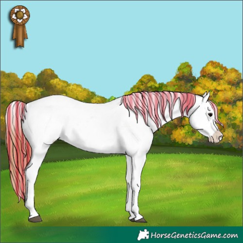 Horse Color:Painted Black Appaloosa Rabicano 