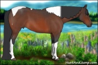 Horse Color:Bay Roan Tobiano