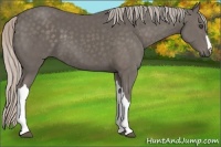 Horse Color:Silver Black 