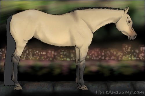 Horse Color:Buckskin Dun