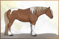 Horse Color:Chestnut Tobiano