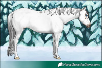 Horse Color:Brown Sabino Splash Tobiano Frame Rabicano 