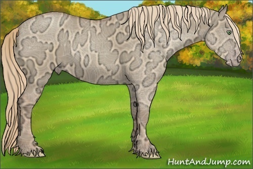 Horse Color:Gold Champagne Ice Dun