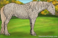 Horse Color:Gold Champagne Ice Dun 