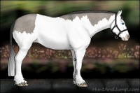 Horse Color:Smoky Grullo Roan Splash 