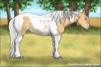 Horse Color:Silver Buckskin Dun Tobiano 