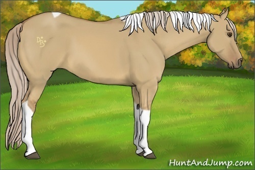 Horse Color:Palomino Dun Tobiano