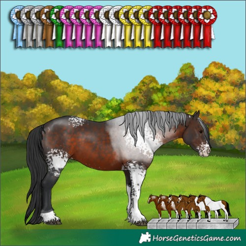 Horse Color:White Spotted Brown Tobiano 