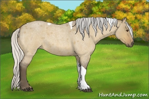 Horse Color:Silver Buckskin Roan Dun Tobiano
