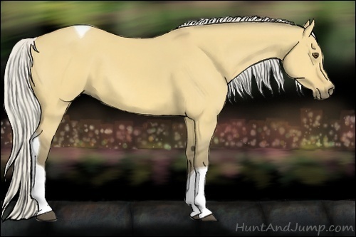 Horse Color:Silver Buckskin Dun Tobiano