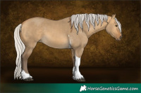 Horse Color:Silver Buckskin Dun Tobiano 