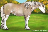 Horse Color:Silver Black Pearl Sabino 