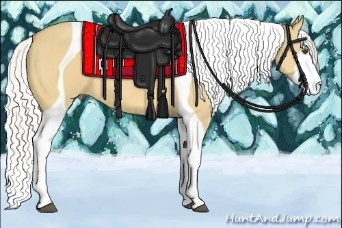 Horse Color:Silver Buckskin Dun Tobiano