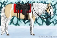 Horse Color:Silver Buckskin Dun Tobiano