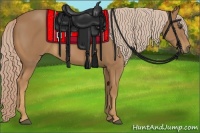 Horse Color:Palomino 