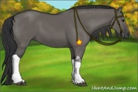 Horse Color:Grullo Tobiano 