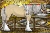 Horse Color:Silver Buckskin Dun Tobiano